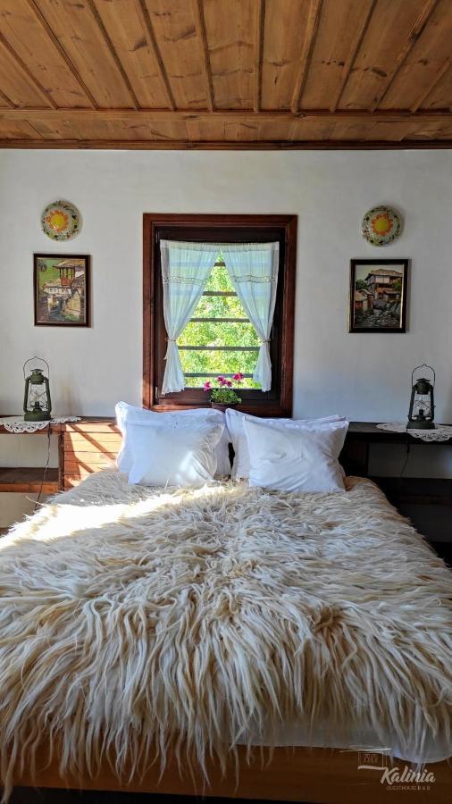 Kalinia Guesthouse B&B Kovachevitsa Bagian luar foto