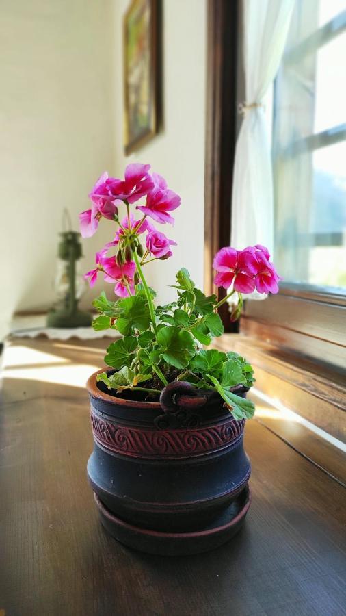 Kalinia Guesthouse B&B Kovachevitsa Bagian luar foto