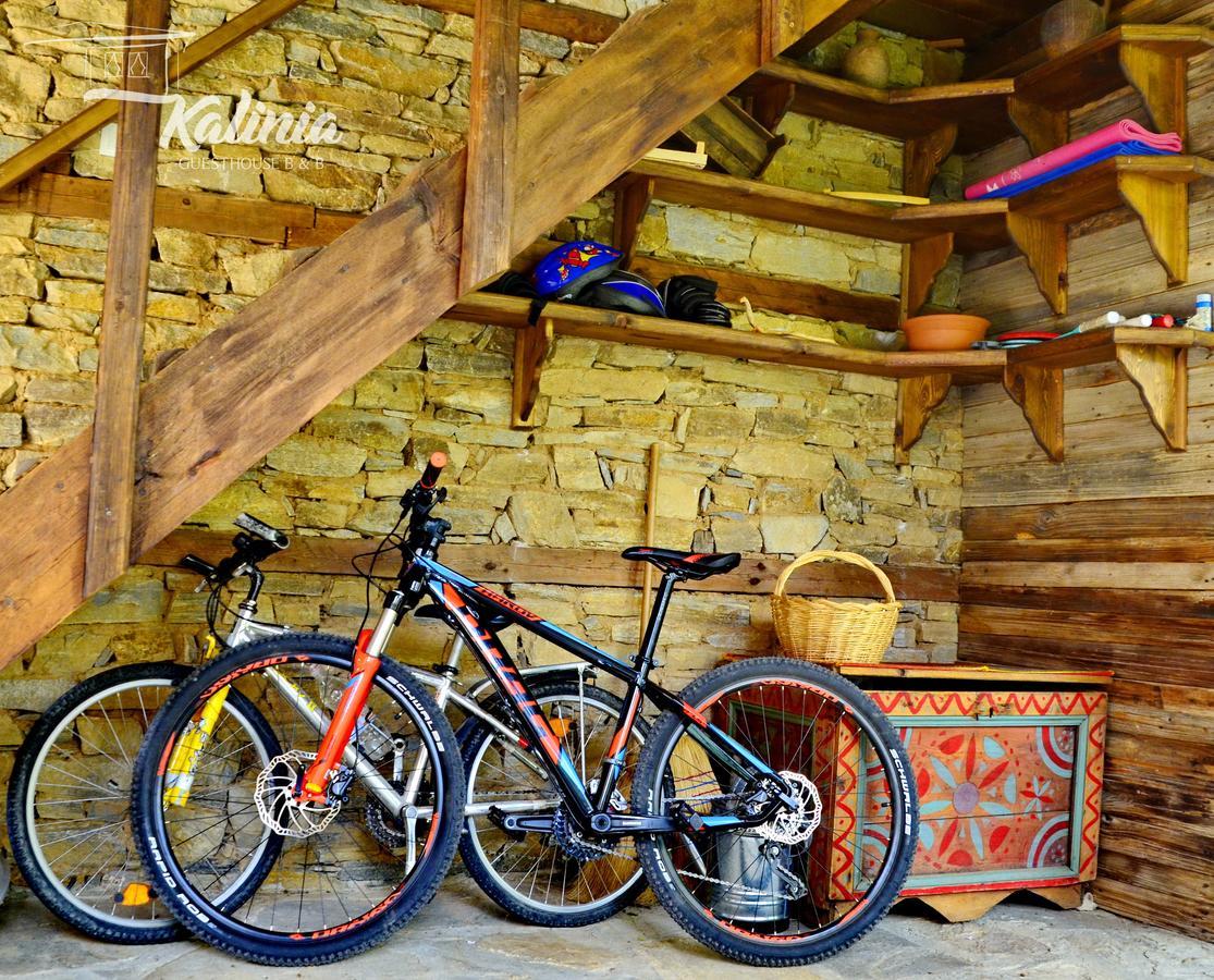 Kalinia Guesthouse B&B Kovachevitsa Bagian luar foto