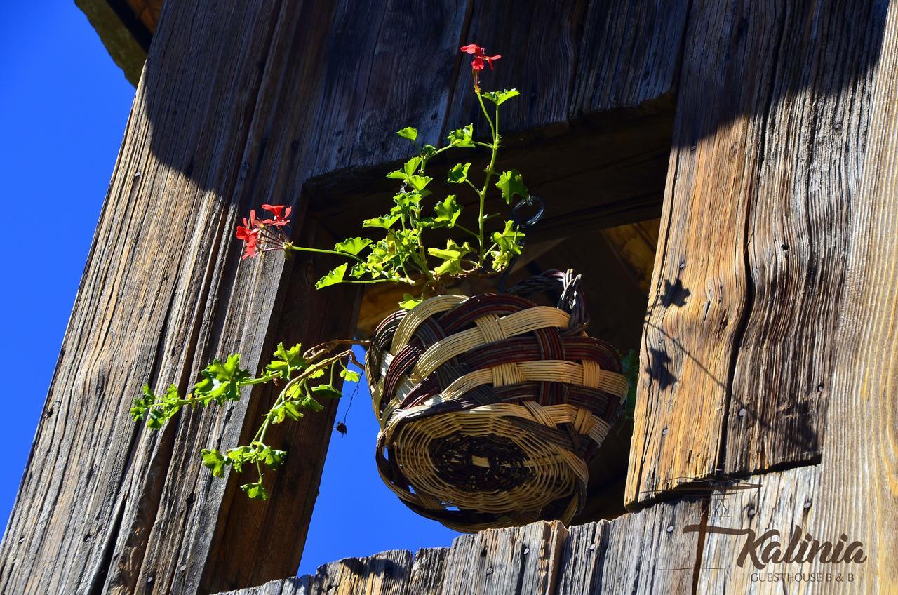 Kalinia Guesthouse B&B Kovachevitsa Bagian luar foto