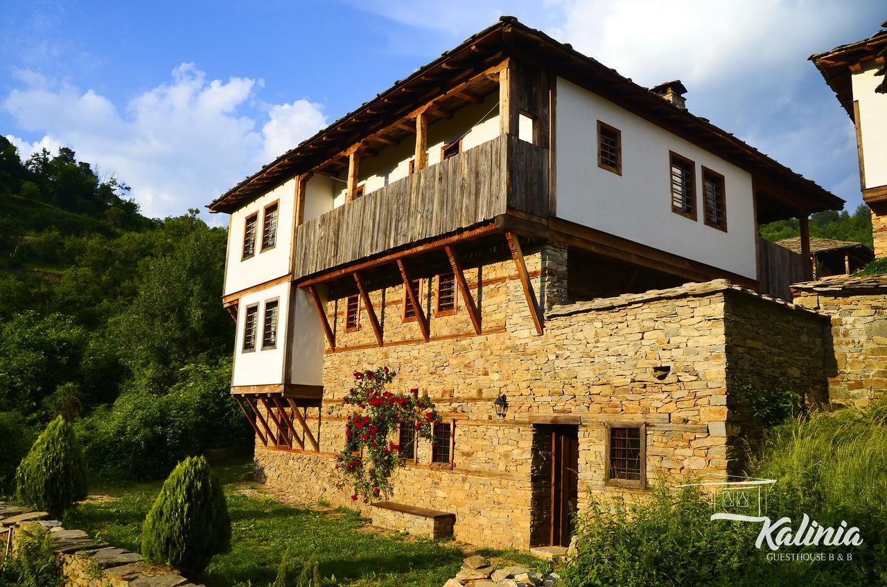 Kalinia Guesthouse B&B Kovachevitsa Bagian luar foto