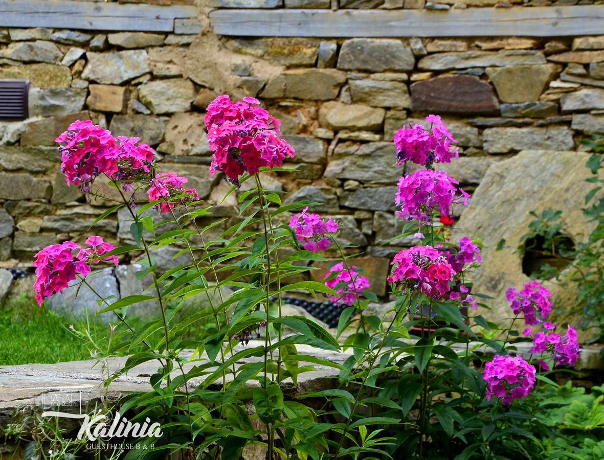 Kalinia Guesthouse B&B Kovachevitsa Bagian luar foto