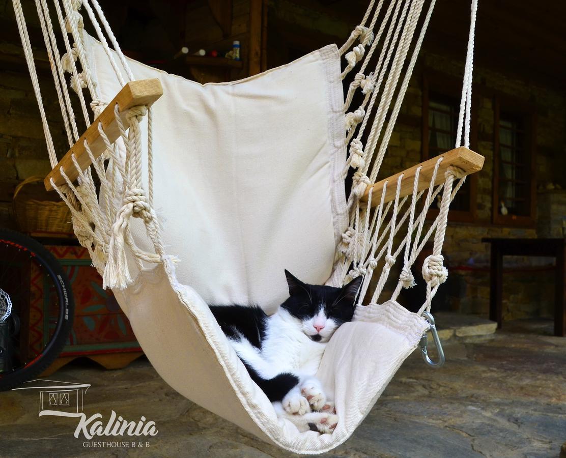 Kalinia Guesthouse B&B Kovachevitsa Bagian luar foto