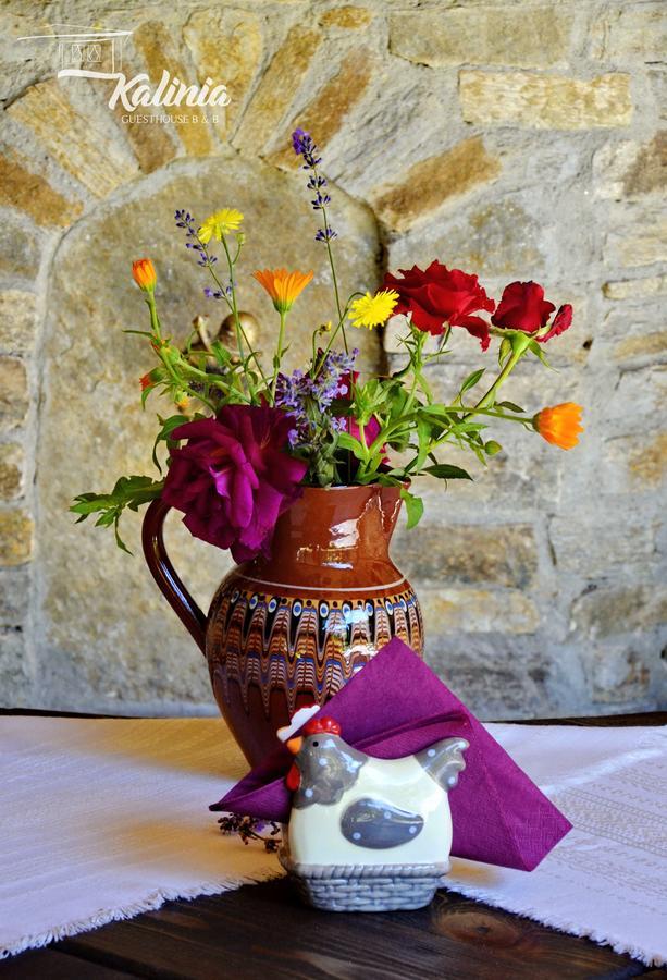 Kalinia Guesthouse B&B Kovachevitsa Bagian luar foto