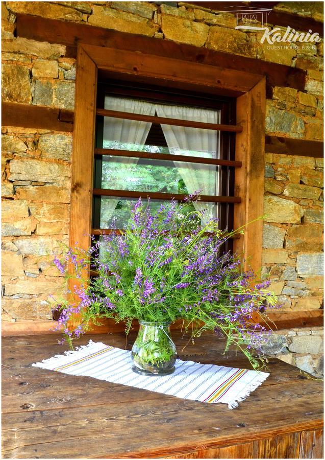 Kalinia Guesthouse B&B Kovachevitsa Bagian luar foto
